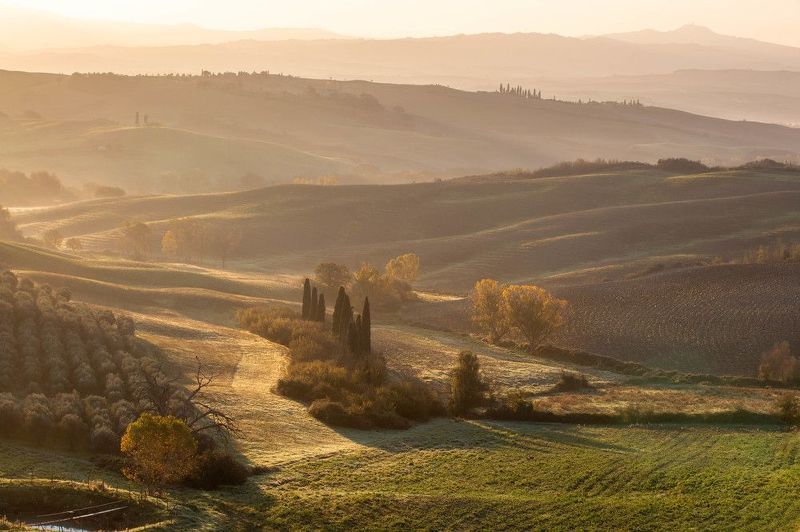 Золотое утроphoto preview