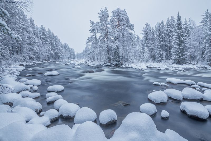 Выходной... photo preview