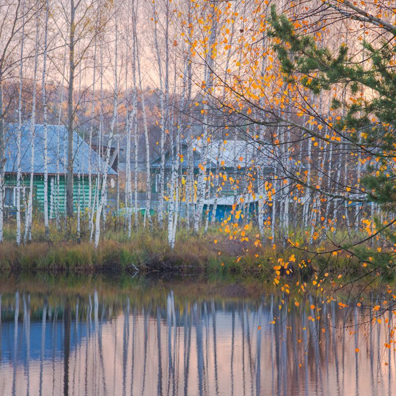 утро рассвет осень октябрь серково черная порза Осенние кружеваphoto preview