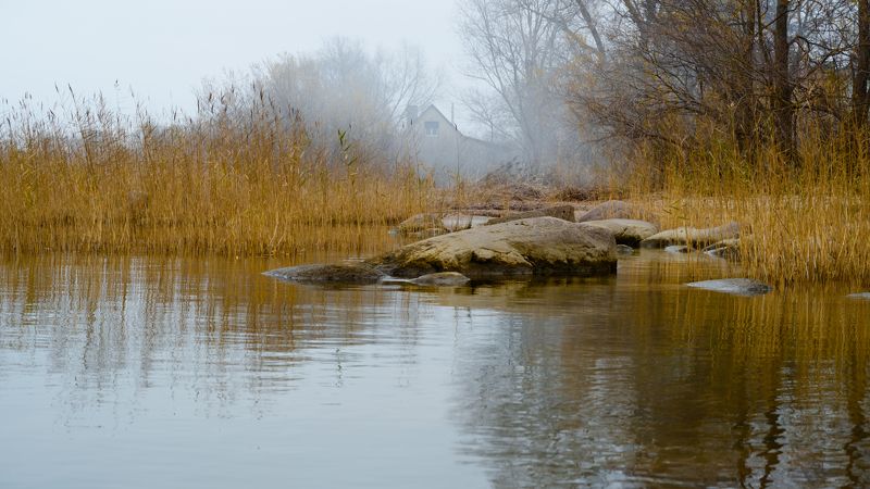 калининград, туман, осень, куршский_залив photo preview