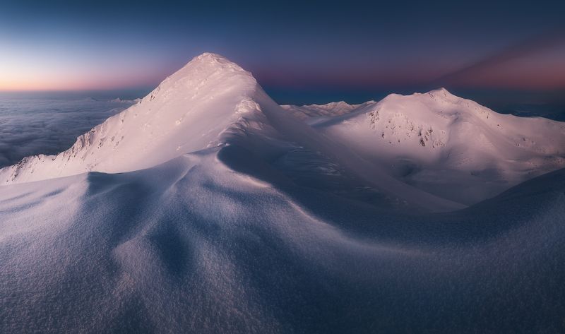 On the white wormphoto preview