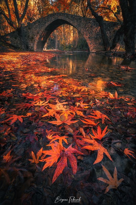 Кипрphoto preview