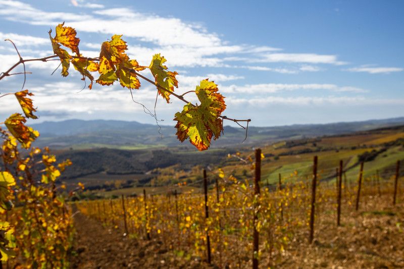 После сборки урожаяphoto preview