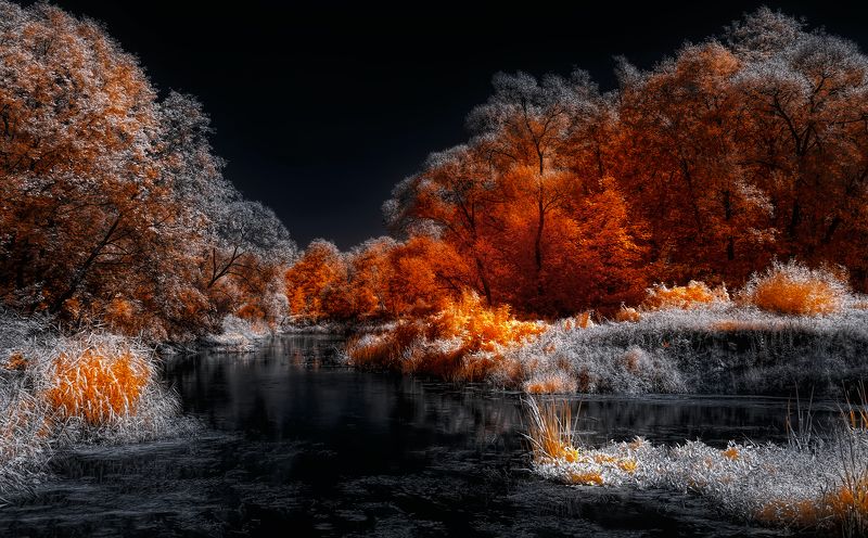 infrared,ик-фото,инфракрасное фото, инфракрасная фотография, пейзаж, лето Седое лето фото превью