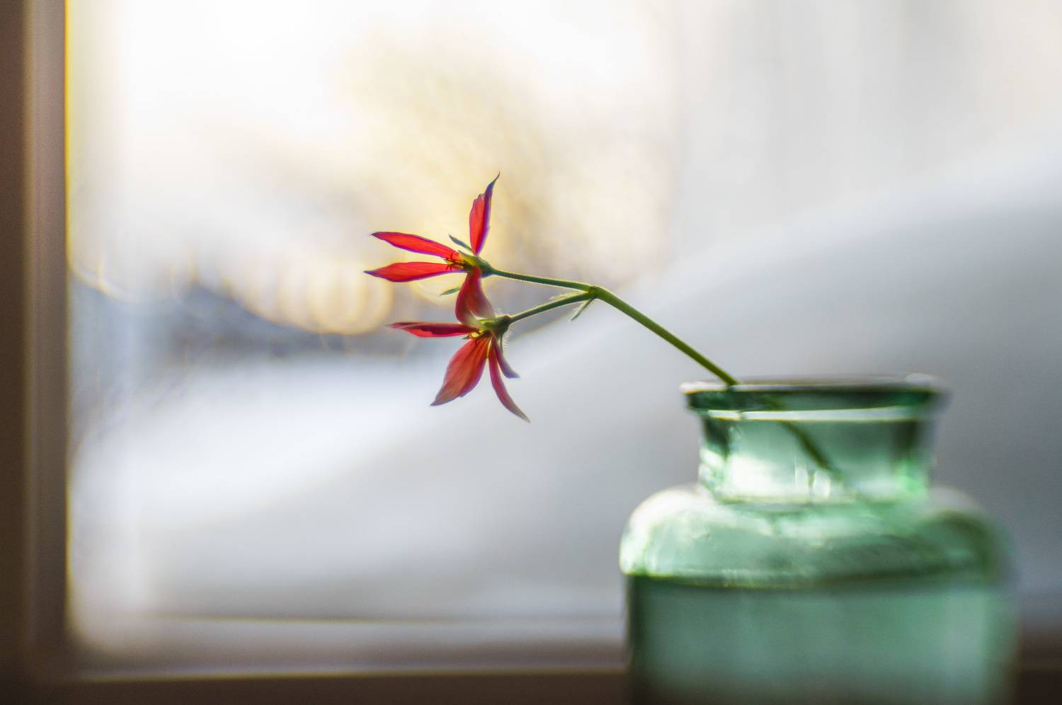 , Лофицкая Лариса