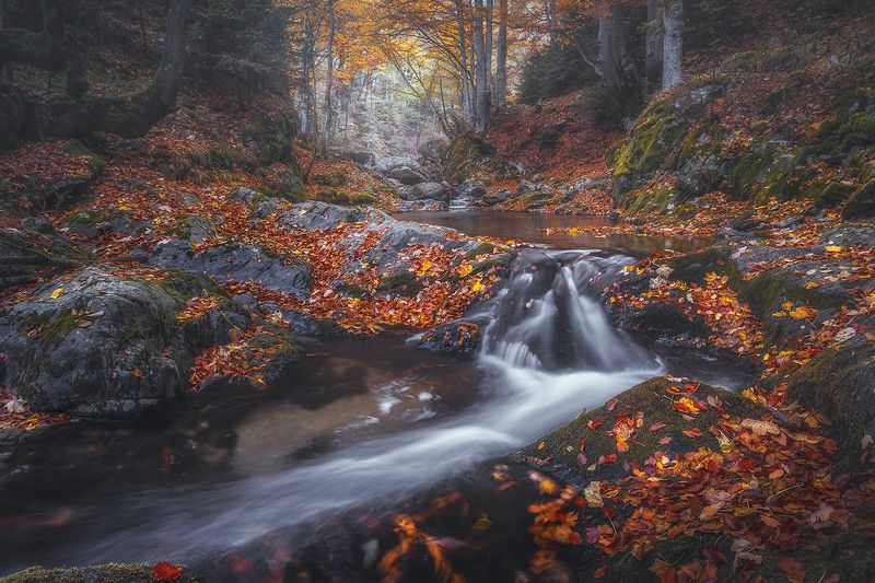 landscape, nature, scenery, forest, wood, autumn, fall, waterfall, river, mountain, rodopi, bulgaria, лес Autumn Downstreamphoto preview