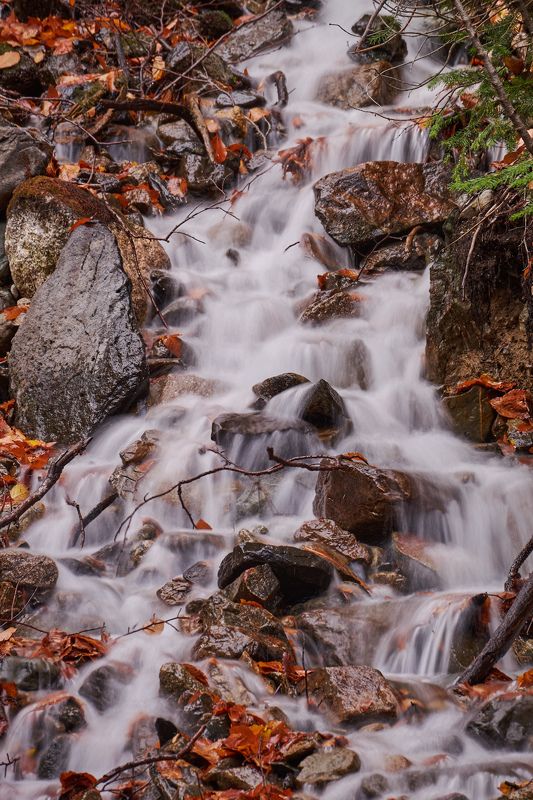 горы,ручей,осень,домбай Осенний горный ручей фото превью