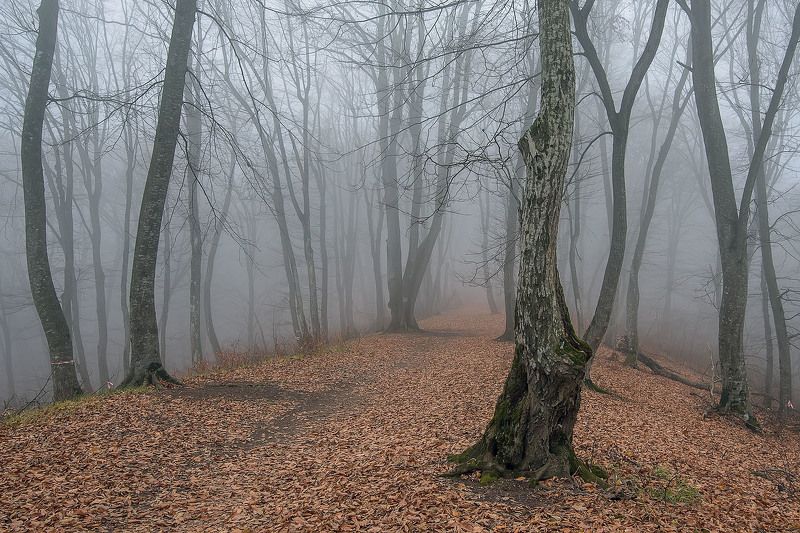 кизиловка, нальчик, кабардино-балкария Осенняя Кизиловкаphoto preview