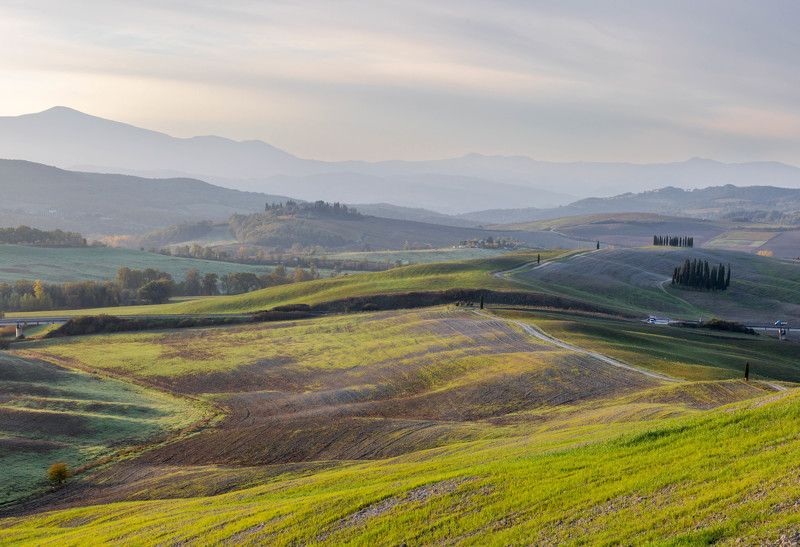 В поляхphoto preview