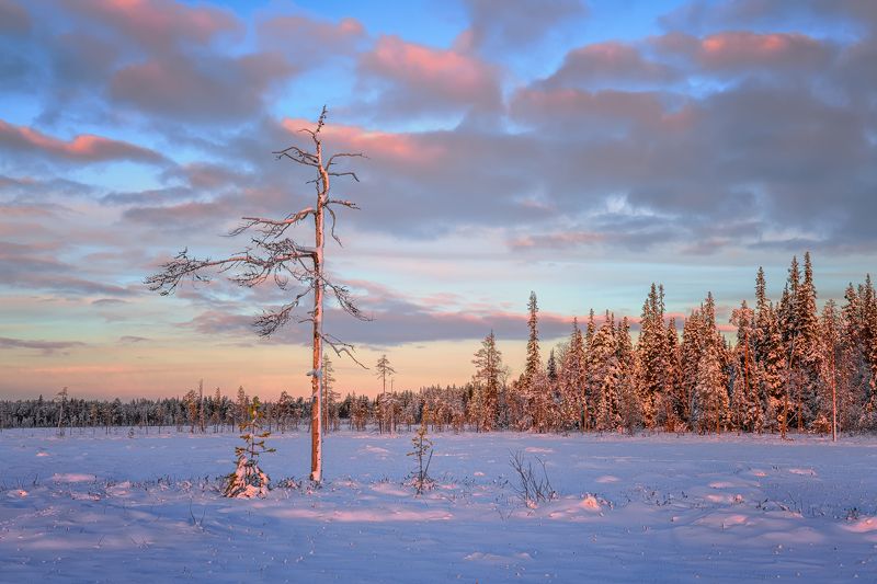 Равнение нааааа....!photo preview