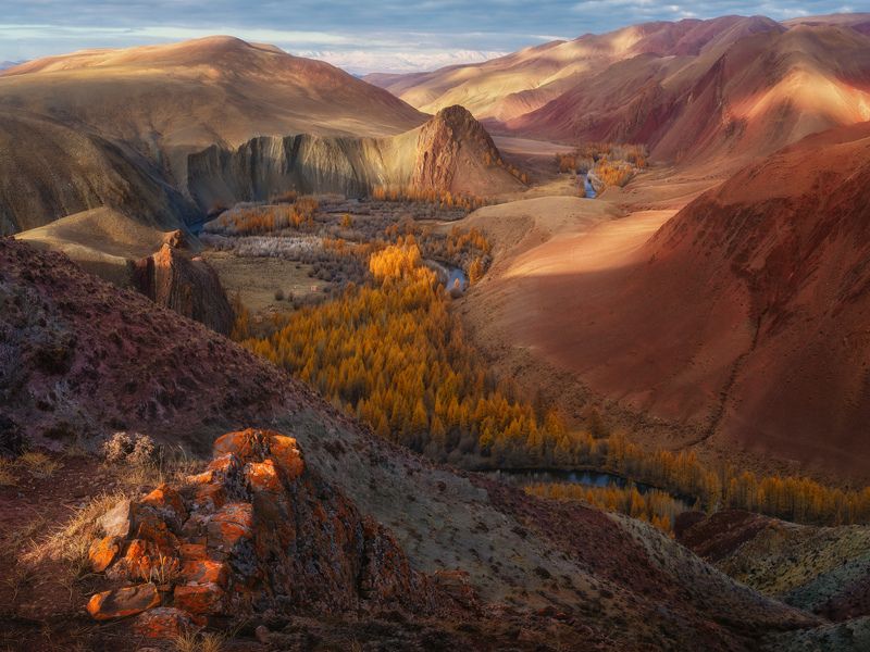 Хроники урочища Кокоряphoto preview