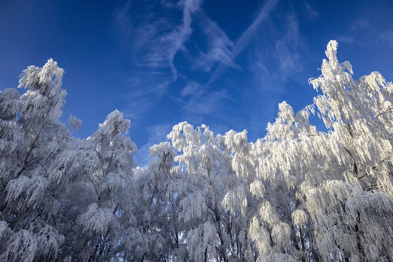зима Зимние фотозарисовкиphoto preview