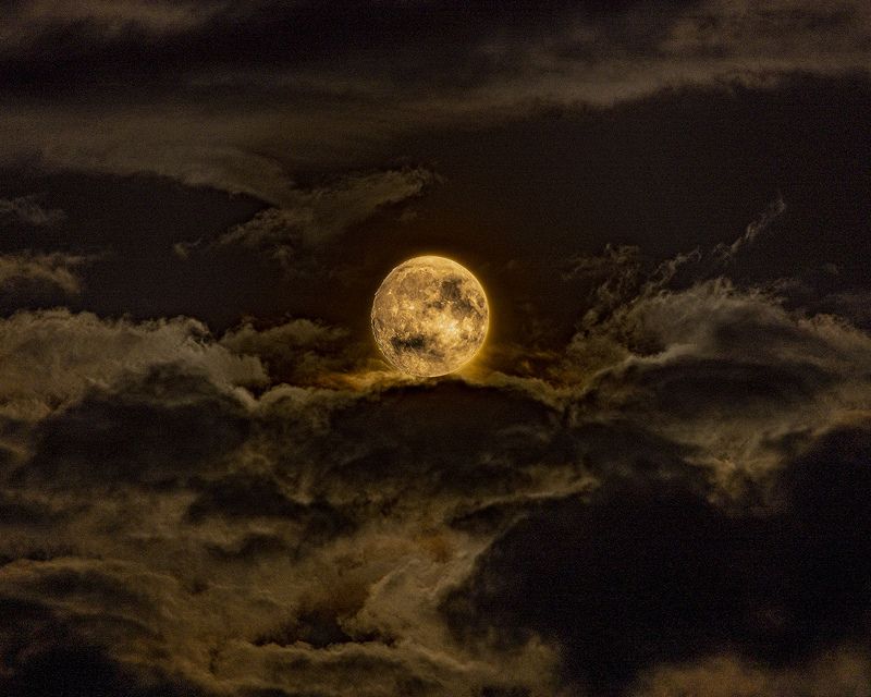 Лунная темаphoto preview