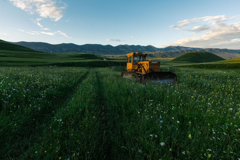 дагестан, горы, лето, поля, цветы, техника, день Одинокий в полеphoto preview