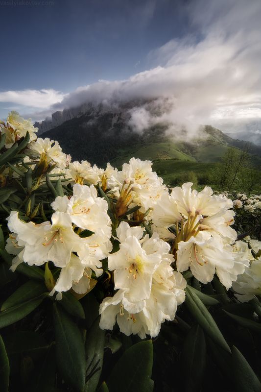тхач, большой тхач, фототур, яковлевфототур, кавказ, адыгея Большой Тхачphoto preview
