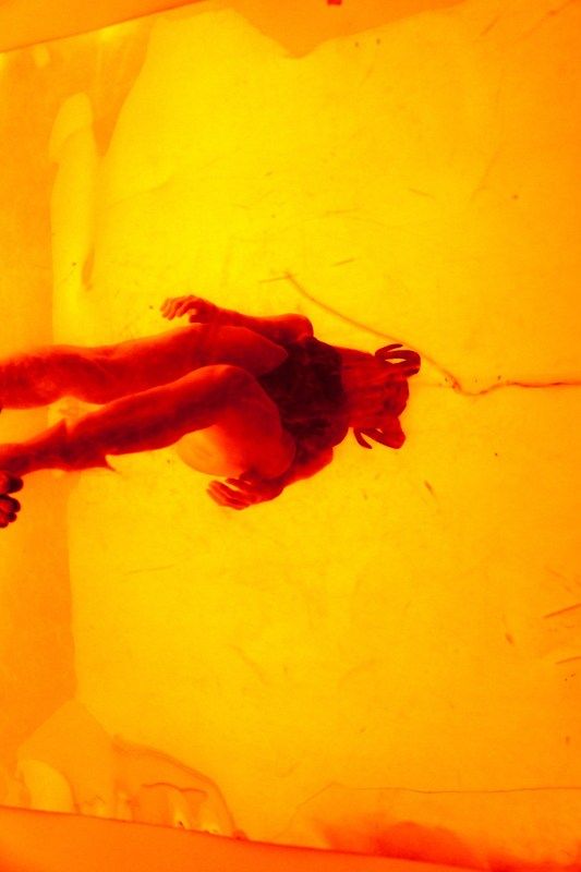 Demonessaphoto preview