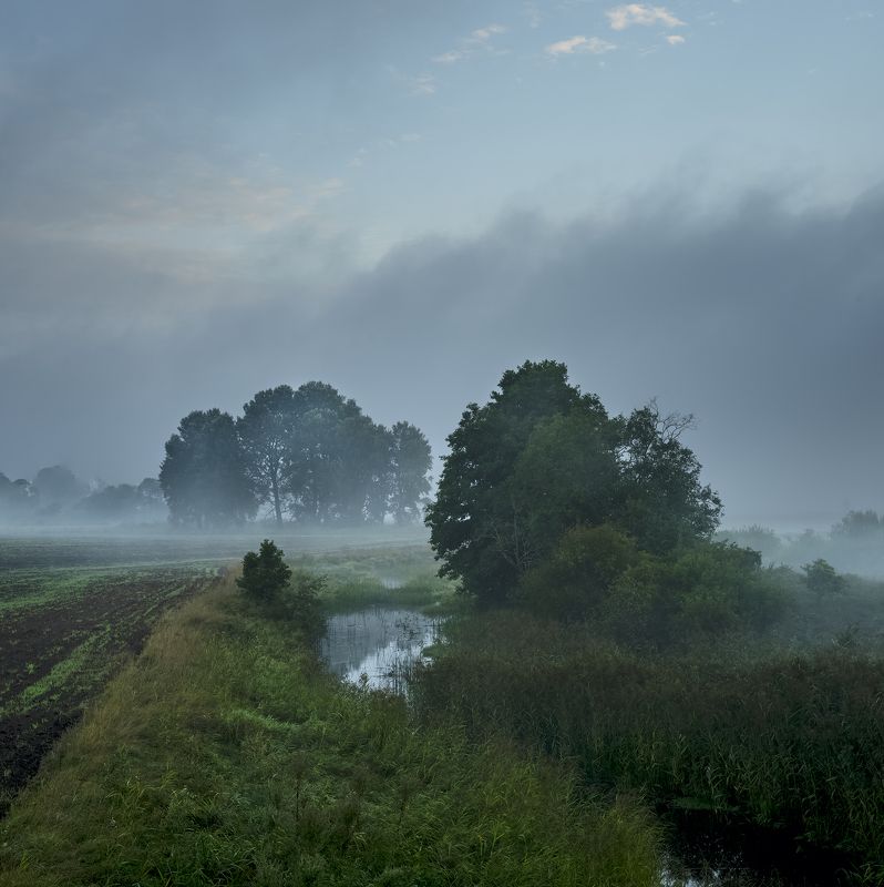 Misty morningphoto preview