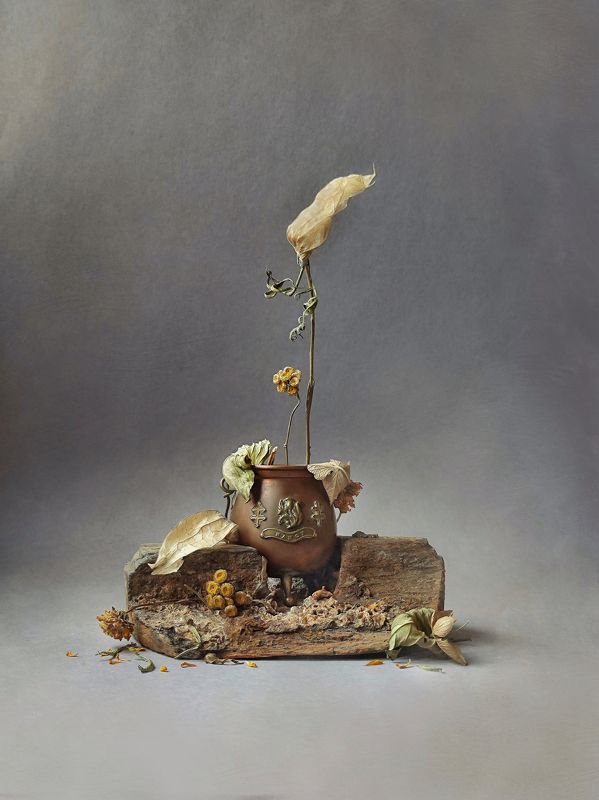 Tansy & Phisalisphoto preview