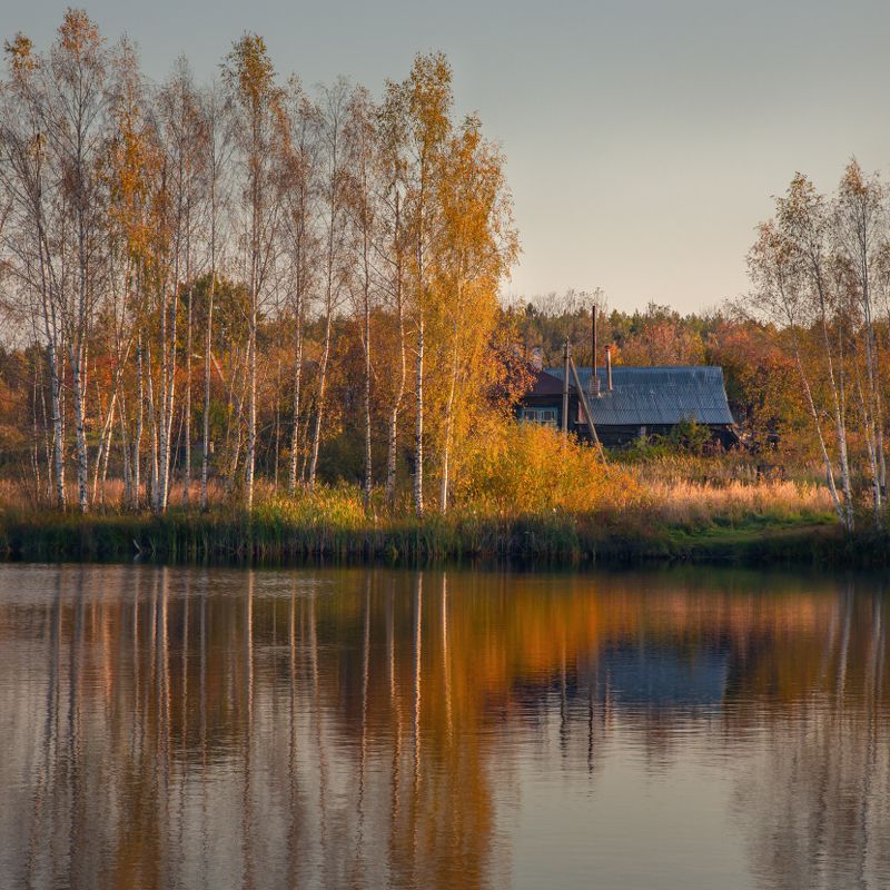 утро осень октябрь серково черная порза Ленивое осеннее утроphoto preview