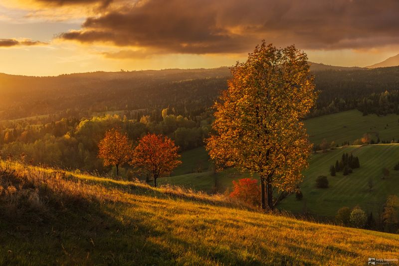 Autumn Colorsphoto preview