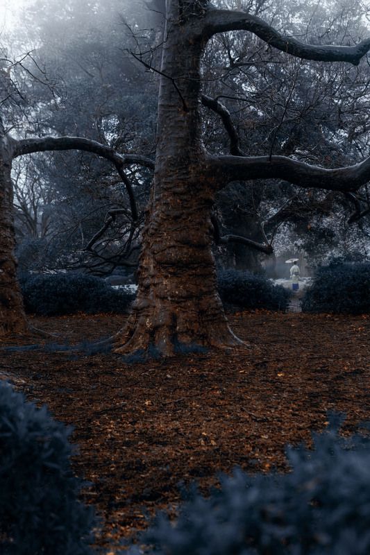 япония шепот Кодамаphoto preview