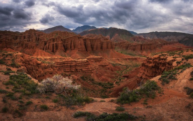 Пасмурный Конорчекphoto preview