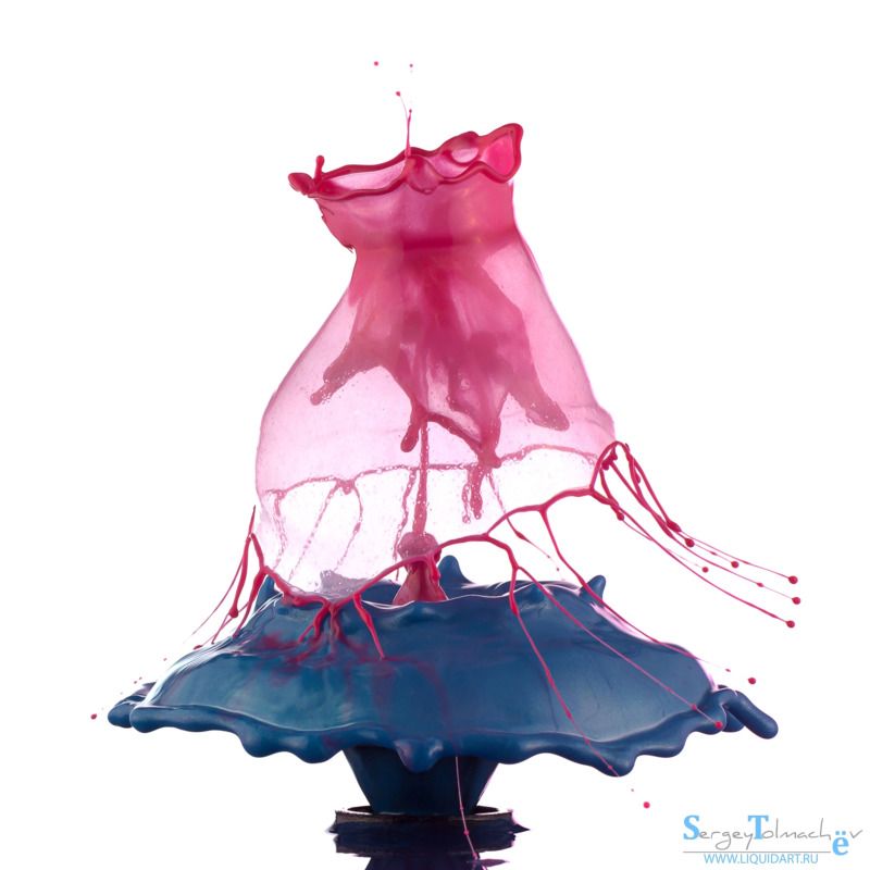 сергей толмачев, уменянакухне, liquidart, liquid, splash, water, waterdrop, капли, всплеск, вода, макро, падениекапли, photo preview