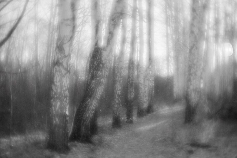 монокль, 35мм Березыphoto preview