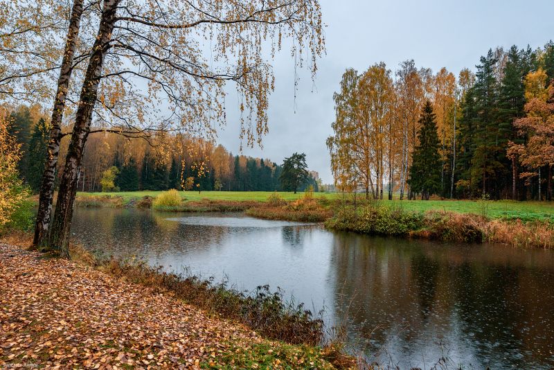 павловский парк, осень, дождь, павловск, санкт-петербург Дождливый день в паркеphoto preview