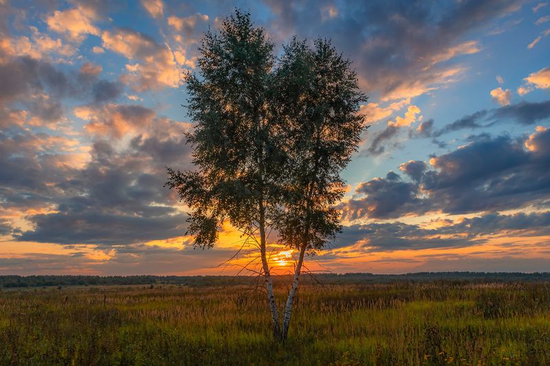 закат вечер Закаты 2.photo preview