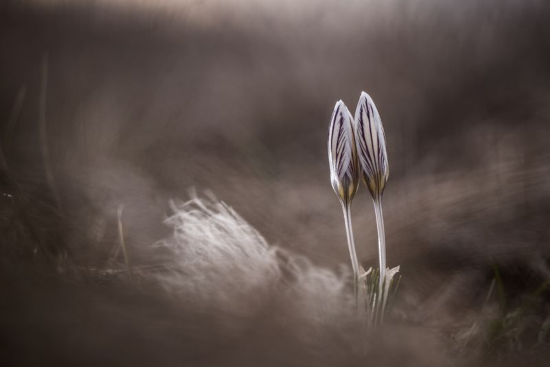 Вдвоёмphoto preview