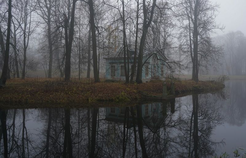 Morningphoto preview