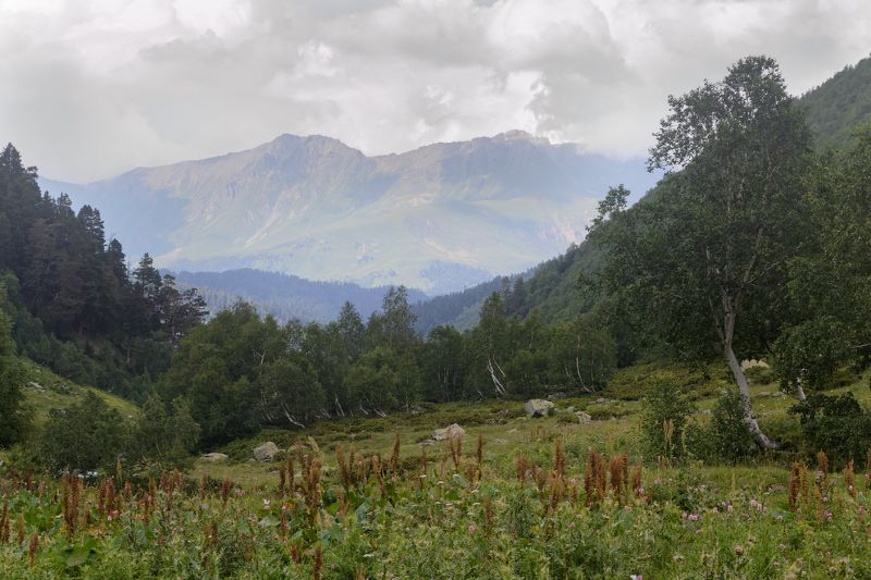 Кавказ.photo preview