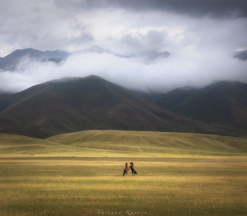 Танецphoto preview