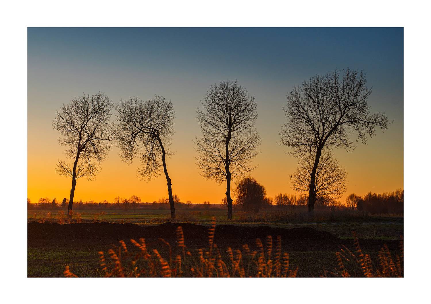 Автор: Lubawski Marian , Lubawski Marian