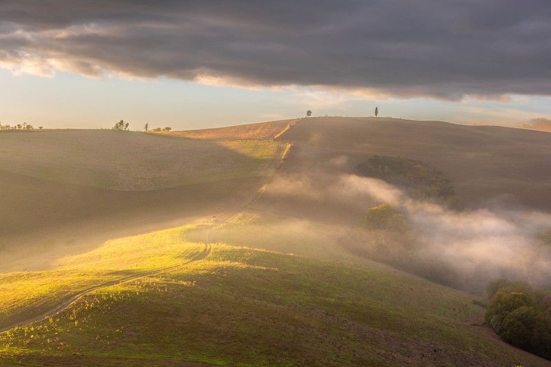 Дорога в облакаphoto preview