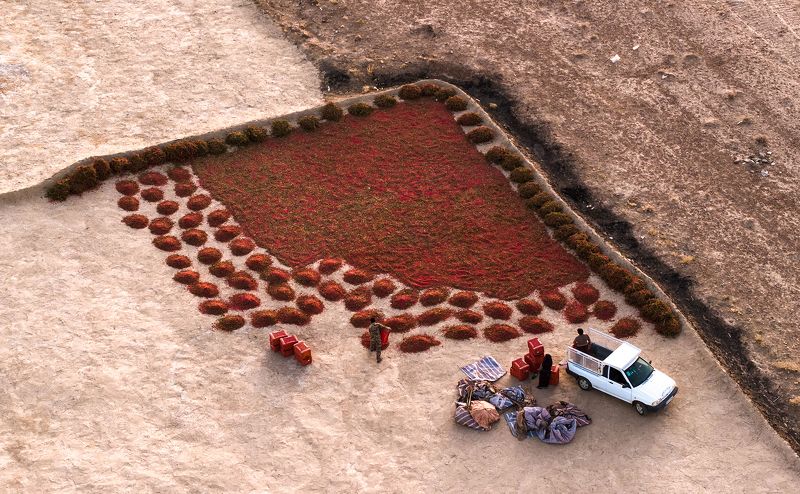 Red foodphoto preview