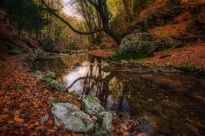 Зеркало - рекаphoto preview