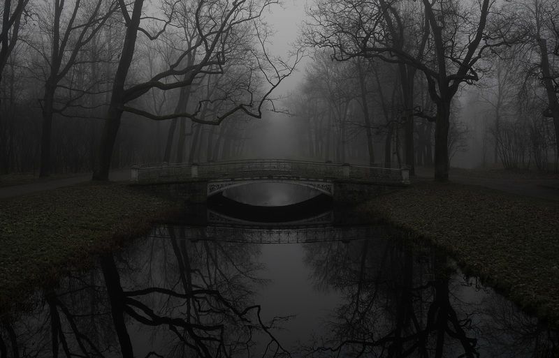 Dark morningphoto preview