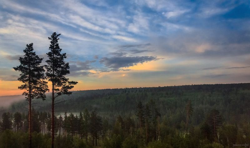 иркутская область, природа, вечер, закат Две сосныphoto preview