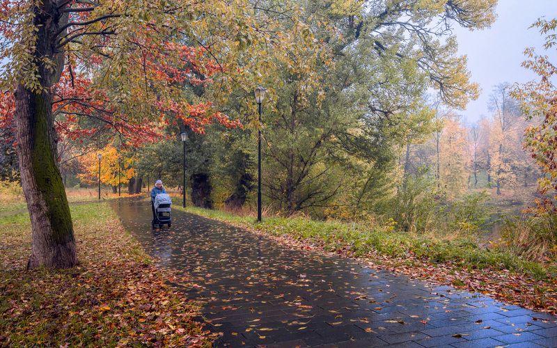 парк, осень, природа, москва В осеннем паркеphoto preview