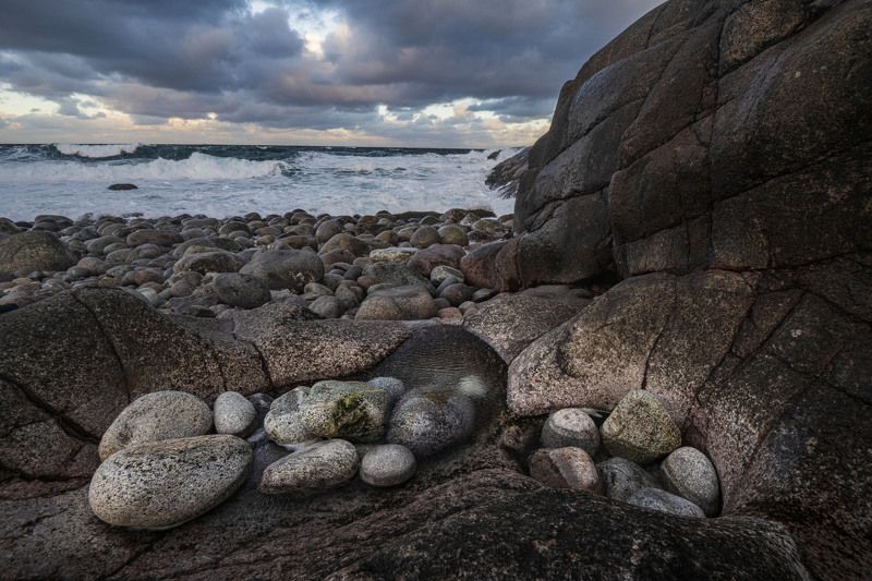 Яица драконаphoto preview