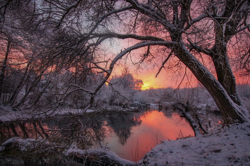 ********photo preview