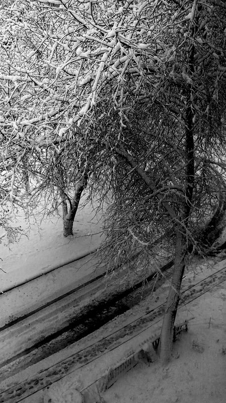 природа Ожидание зимыphoto preview