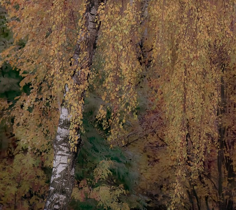 Времена годаphoto preview