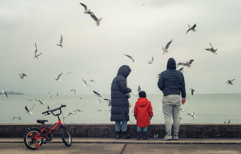 В гостях у чаек. фото превью