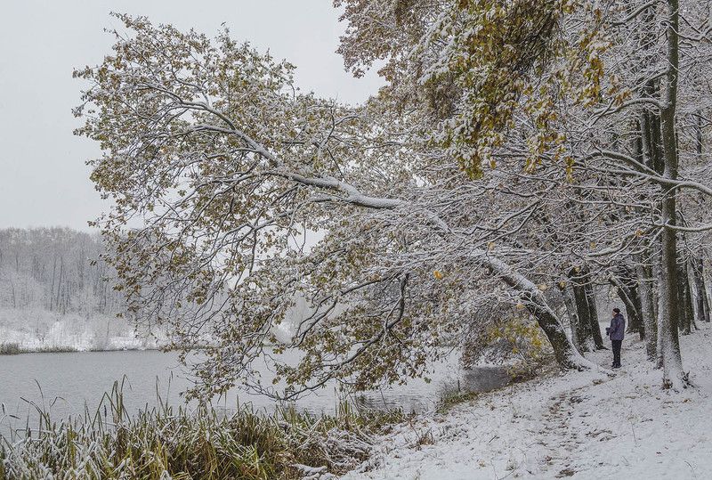 тула цпкио Места заветные. Тула. ЦПКиО.photo preview