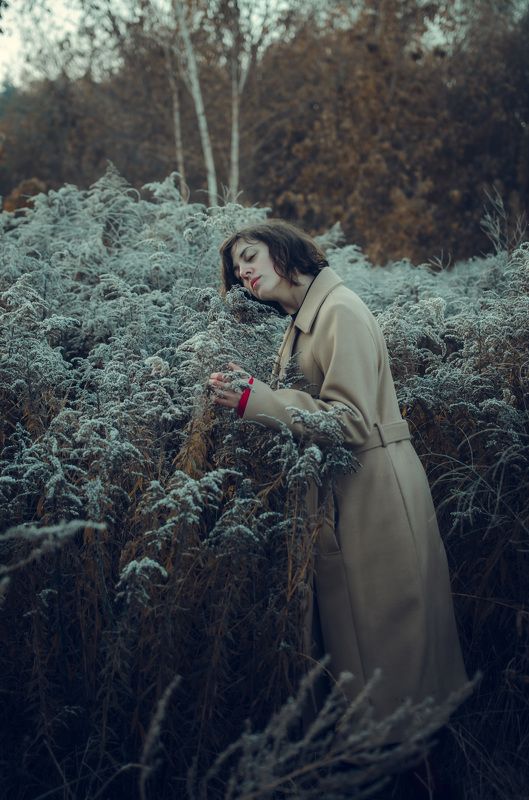 Autumn dawnphoto preview