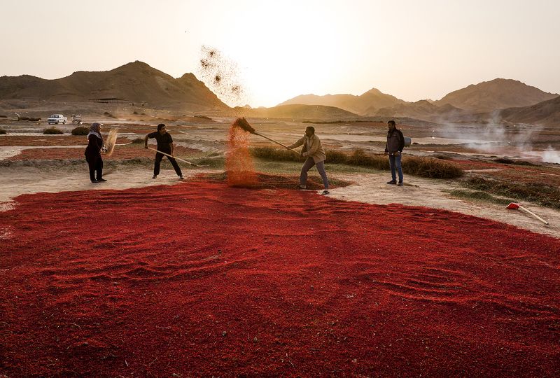 Red happinessphoto preview