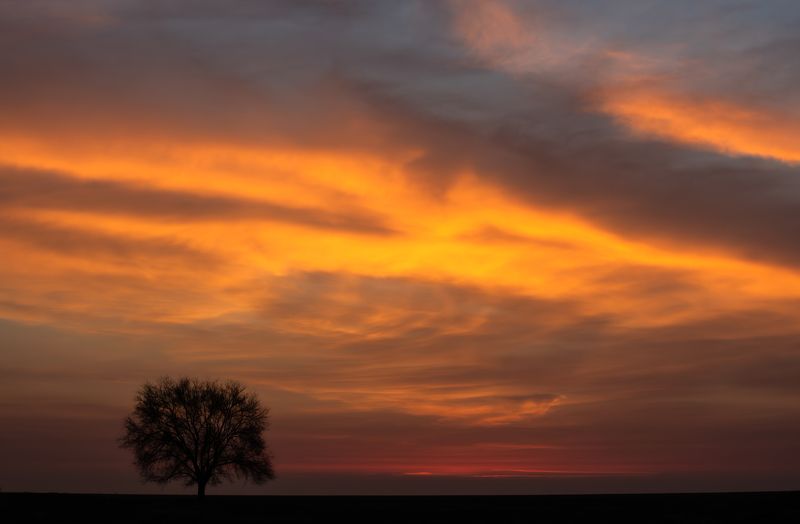 Степной рассвет. photo preview